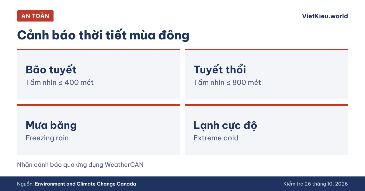 Y tế