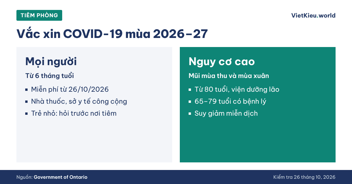 Y tế