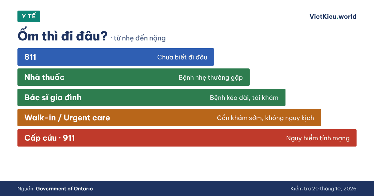 Y tế