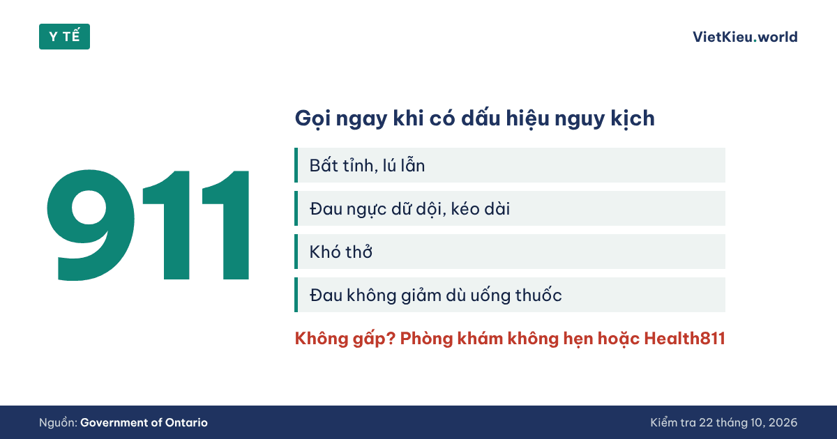 Y tế